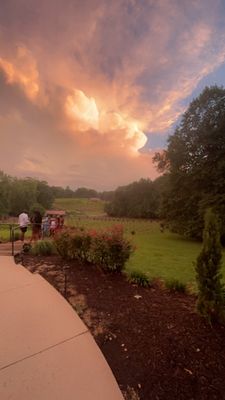 Running Hare Vineyard by null