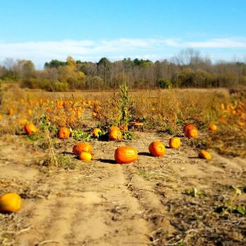 Cedarburg Creek Farm - Pumpkin patch - Farmers Market Near Me - Cedarburg, Wisconsin Cedarburg Creek Farm - Pumpkin patch - Farmers Market Near Me - Cedarburg, Wisconsin