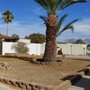 A&S Irrigation And Landscaping