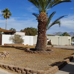 A&S Irrigation And Landscaping - Them trees! Very nice job guys.