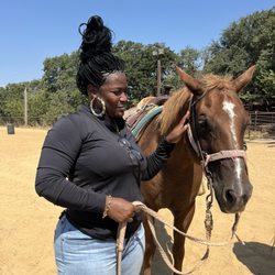 RNR Stables
