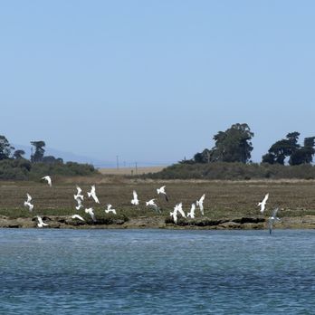 Monterey Bay Eco Tours - Boat Tours Near Me - Moss Landing, California Monterey Bay Eco Tours - Boat Tours Near Me - Moss Landing, California