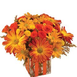 Pleasant Grove Florist