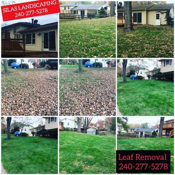 Silas Landscaping & Cleaning Services - https://www.facebook.com/100029263825052/posts/pfbid02LsD4kPtrzV8s17XFQ7d1srsRWtg7tyq2CTzb6mAwqqk8P3dzhBE5kwTgSjpaXfNbl/ - Landscaping Near Me Silas Landscaping & Cleaning Services - https://www.facebook.com/100029263825052/posts/pfbid02LsD4kPtrzV8s17XFQ7d1srsRWtg7tyq2CTzb6mAwqqk8P3dzhBE5kwTgSjpaXfNbl/ - Landscaping Near Me