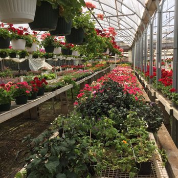 The Greenhouse on Edgemore - Great plants - Nurseries & Gardening Near Me - North Newton, Kansas The Greenhouse on Edgemore - Great plants - Nurseries & Gardening Near Me - North Newton, Kansas