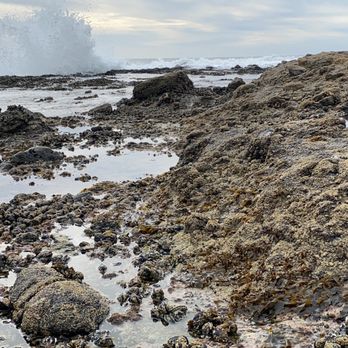 Shaws Cove - Beaches Near Me - Laguna Beach, California