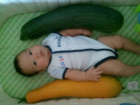 Gilcrease Orchard by null