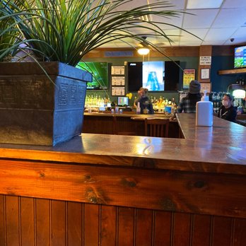 J Butler's Bar & Grille - a potted plant on the bar - American Near Me - High Point, North Carolina