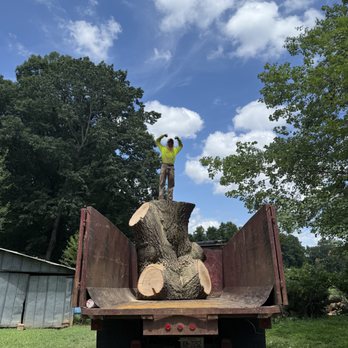 Fonville Tree Service - Tree Services Near Me - Wake Forest, North Carolina Fonville Tree Service - Tree Services Near Me - Wake Forest, North Carolina