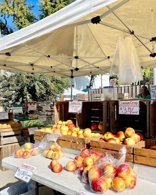 Palisades Farmers Market by null