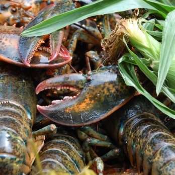 Finest Kind Caterers - Caterers Near Me - North Yarmouth, Maine Finest Kind Caterers - Caterers Near Me - North Yarmouth, Maine