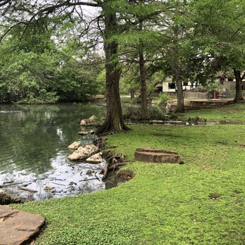 Lindshire Park - A wonderful lady named Seelo comes everyday to feed seeds and bread. - Parks Near Me - Austin, Texas