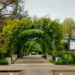 Arbor entrance.