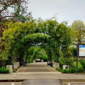 Owen Rose Garden - Arbor entrance. - Parks Near Me - Eugene, Oregon