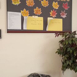 Massapequa Internal Medicine Associates - Good morning everyone.  Blood work