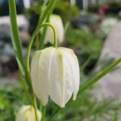 University of Alaska Anchorage by null