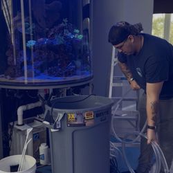 Saltwater Reef - Aquarium service