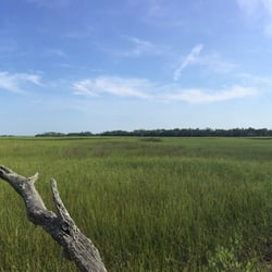 Bald Head Island Conservancy - Beautiful salt marsh and the hunt for the elusive painted bunting bird.