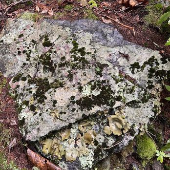 Camden Hills State Park - Hiking Near Me - Camden, Maine
