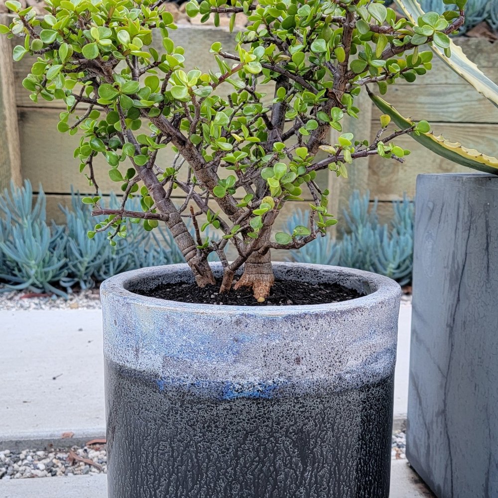 Home Goods - Planter - Home Decor Near Me - Pinole, California Home Goods - Planter - Home Decor Near Me - Pinole, California
