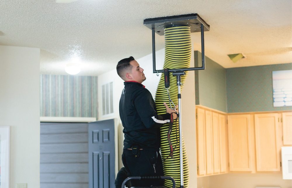 CARPET TECH Updated October 2024 22 Photos 3510 Andrews Hwy