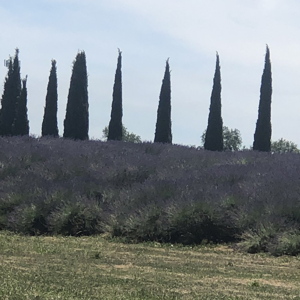 Lavender Ranch - Cosmetics & Beauty Supply Near Me - Biggs, California Lavender Ranch - Cosmetics & Beauty Supply Near Me - Biggs, California