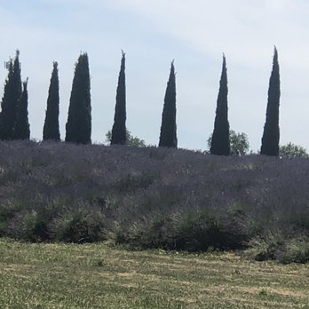 Lavender Ranch - Cosmetics & Beauty Supply Near Me - Biggs, California