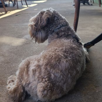 Hillside Farmacy - Enjoying the shade, cool breeze, and cold cement. - New American Near Me - Austin, Texas