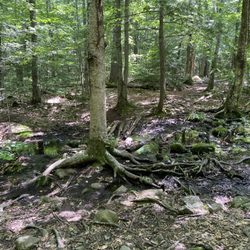 Douglas Mountain
