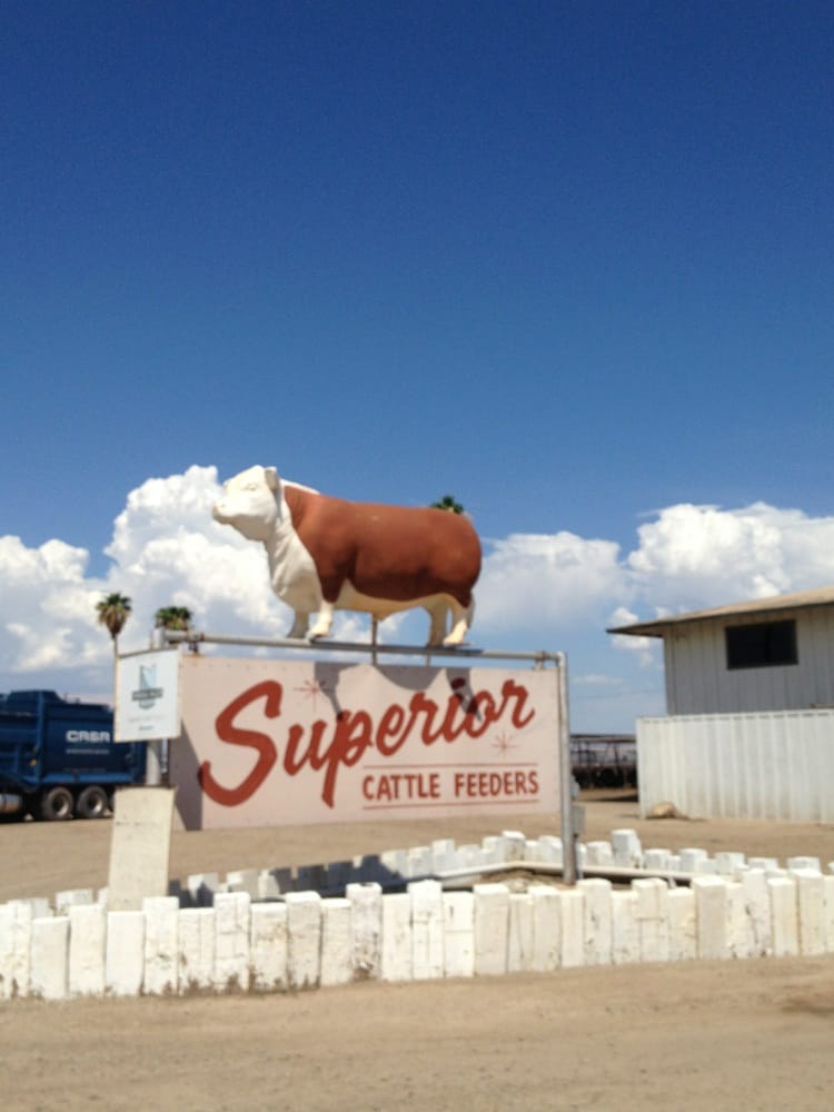 Superior Cattle Feeders Livestock Feed Supply 6050 Us