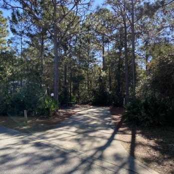 Topsail Hill/Gregory E Moore RV Resort - Typical campsite - Campgrounds Near Me - Santa Rosa Beach, Florida