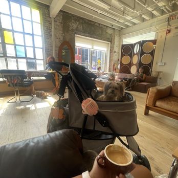 Beni Coffee - Dog friendly interior with espresso - Coffee & Tea Near Me - Union City, New Jersey