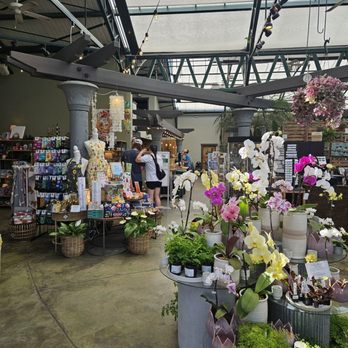 Swansons Nursery - Nurseries & Gardening Near Me - Seattle, Washington