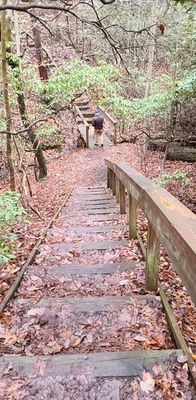 Anita C Leight Estuary Center by null