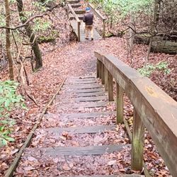 Anita C Leight Estuary Center - Autumn hike