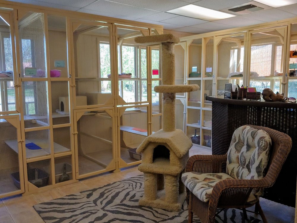 All Pets Boarding Resort