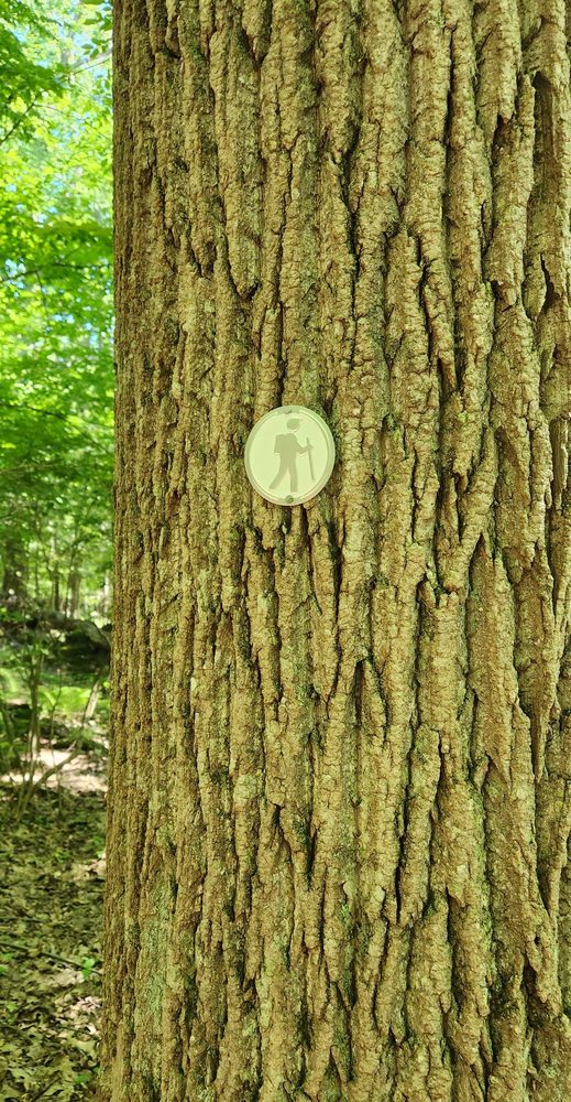 HUCKLEBERRY HILL RECREATION AREA Updated August 2024 14 Photos