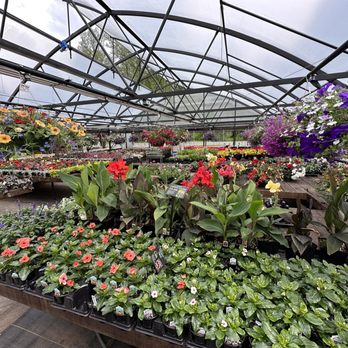 Fruitful Farm & Nursery - Nurseries & Gardening Near Me - Arlington, Washington Fruitful Farm & Nursery - Nurseries & Gardening Near Me - Arlington, Washington