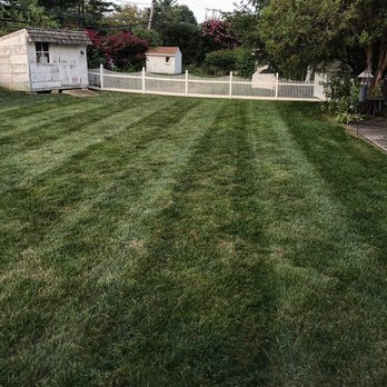 Lawn Pros - a white picketed fence in a backyard - Lawn Services Near Me Lawn Pros - a white picketed fence in a backyard - Lawn Services Near Me