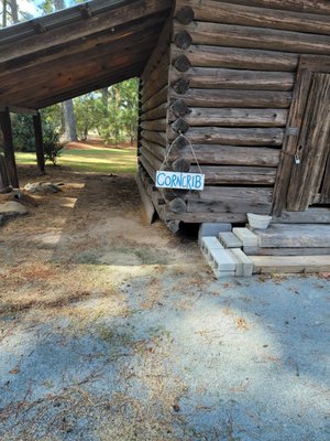 Cape Fear Botanical Garden by null