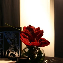 Die Straussbar - Stehtisch-, Loungetischdekoration mit roter Amaryllis