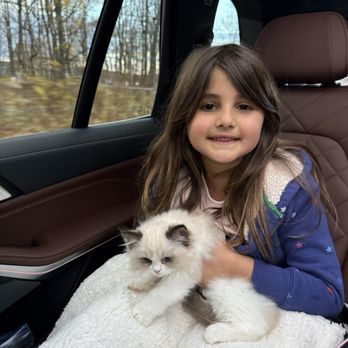 Ragdoll Tales - Pet Breeders Near Me - Armonk, New York Ragdoll Tales - Pet Breeders Near Me - Armonk, New York