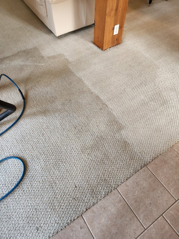 SPECTRUM CARPET & UPHOLSTERY CLEANING Updated August 2024 13 Photos