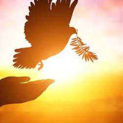 Ascension Medium Jennifer Outwater - Peace comes with awareness of one's purpose.