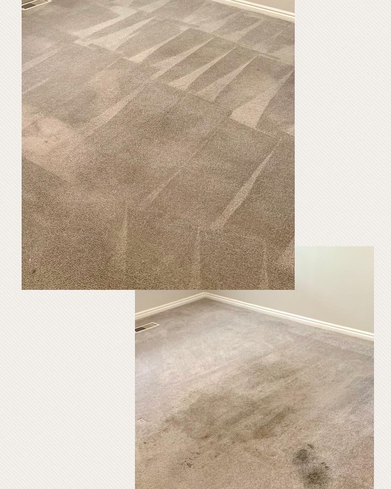 RED CARPET CLEANING ST Updated May 2024 St. Utah