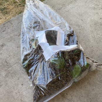 Oc Bee Guy - Peace out bees - Pest Control Near Me - Anaheim, California