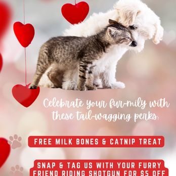 Sunset Tire & Auto Repair - Celebrate National Love Your Pet Day with us! Enjoy free milk bones & catnip treats + special discounts! - Auto Repair Near Me - Lake Bluff, Illinois Sunset Tire & Auto Repair - Celebrate National Love Your Pet Day with us! Enjoy free milk bones & catnip treats + special discounts! - Auto Repair Near Me - Lake Bluff, Illinois