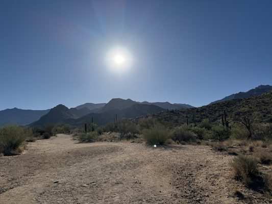 Catalina State Park by null