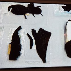 Schuhmuseum - Historische Schuhe