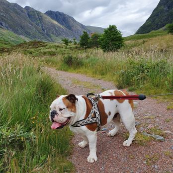 Glencoe Valley - Active Life Near Me